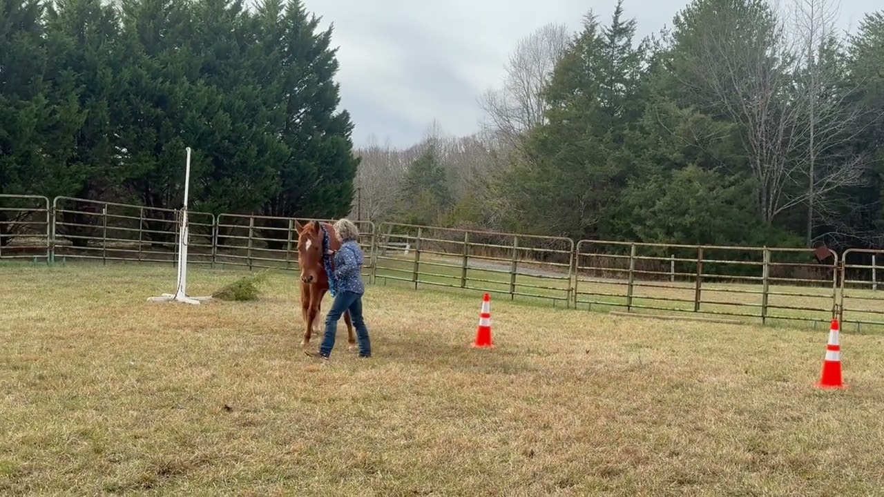 December GW Challenge Melissa and Rose TLH