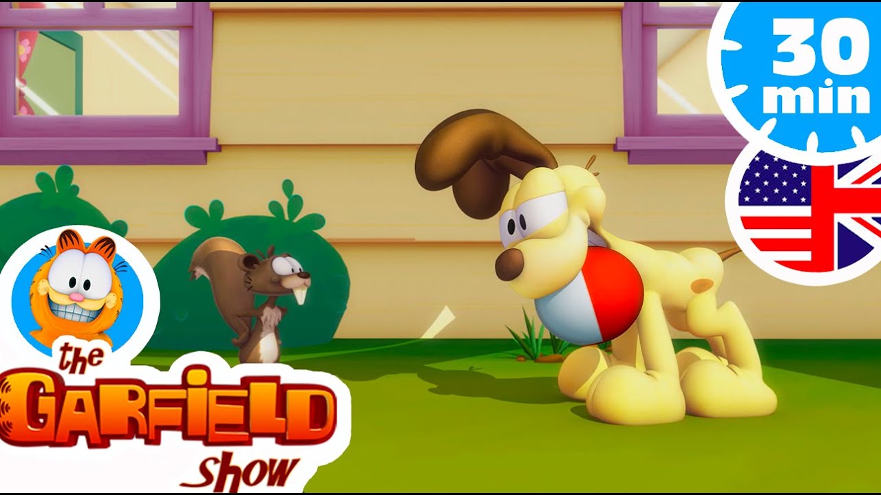 🐶The squirrels have Odie's back now 🐶