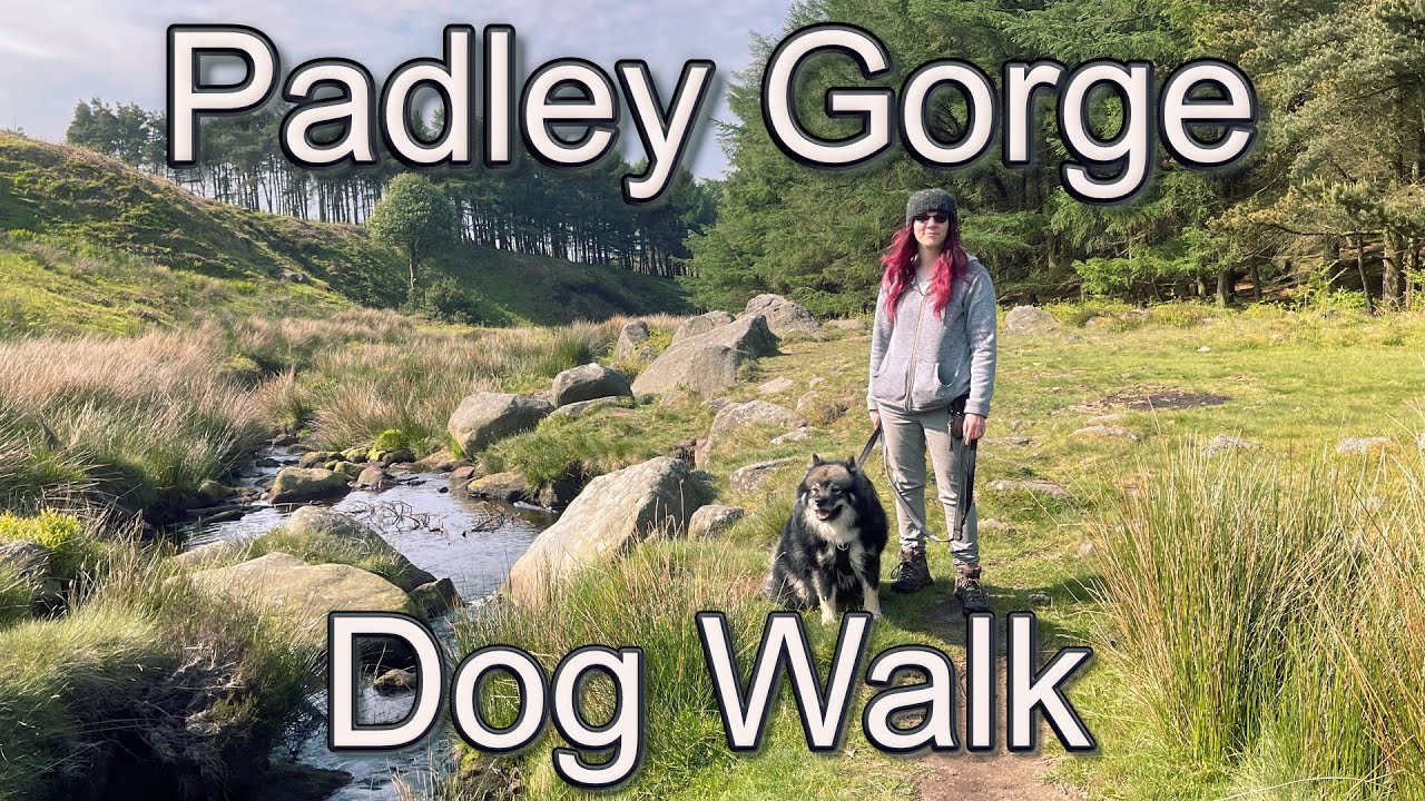 Adventuring to Padley Gorge and Beyond - A Peak District Dog Walk