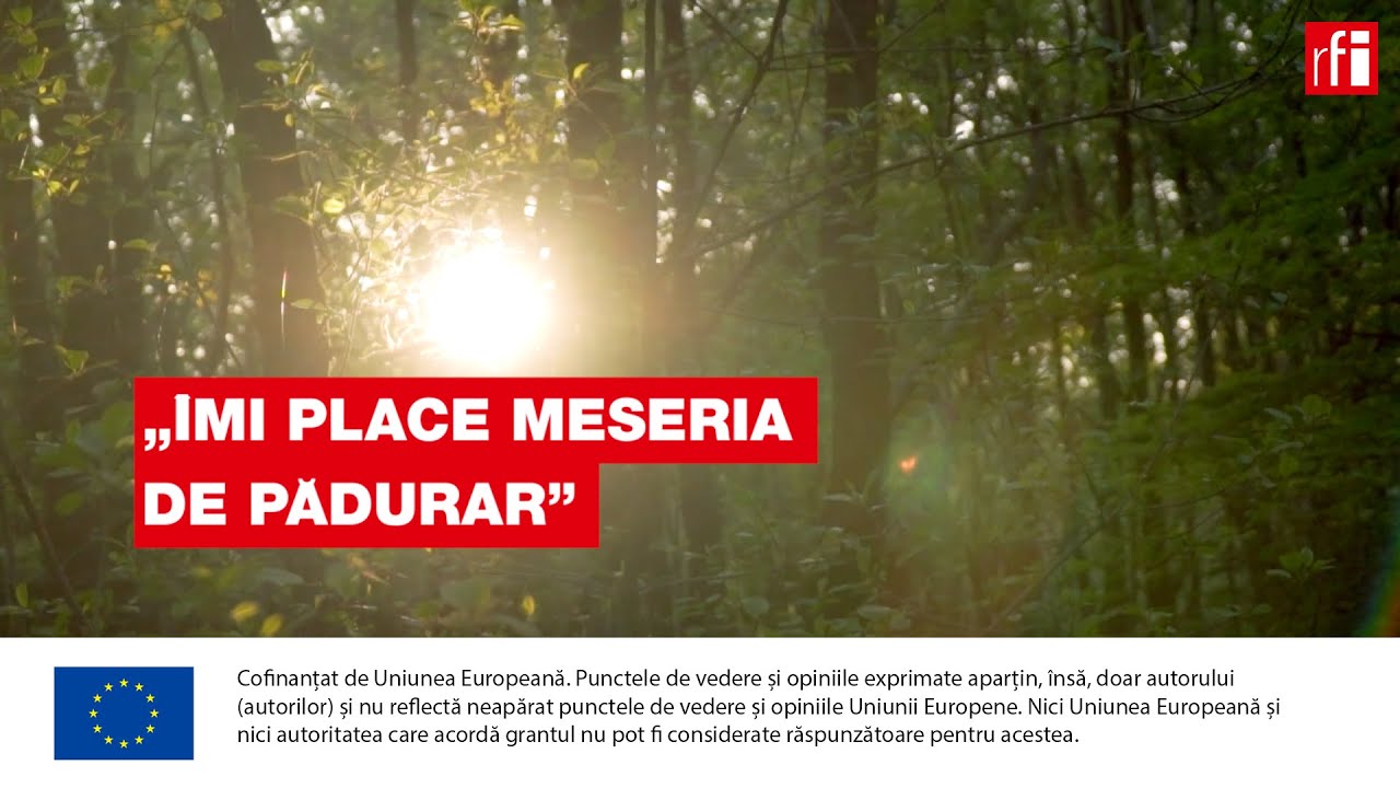 De ce îmi place meseria de pădurar