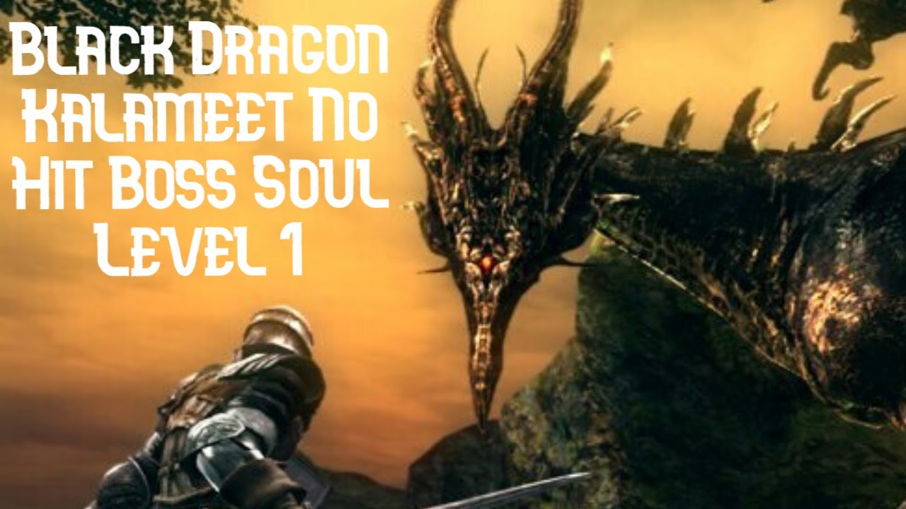 No Hit/Flawless Soul Level 1 Black Dragon Kalameet Dark Souls Remastered (SL1)
