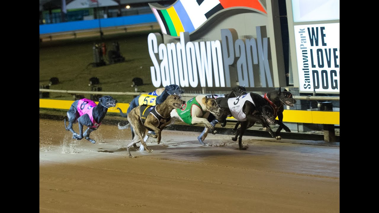 2015 Group 1 winners