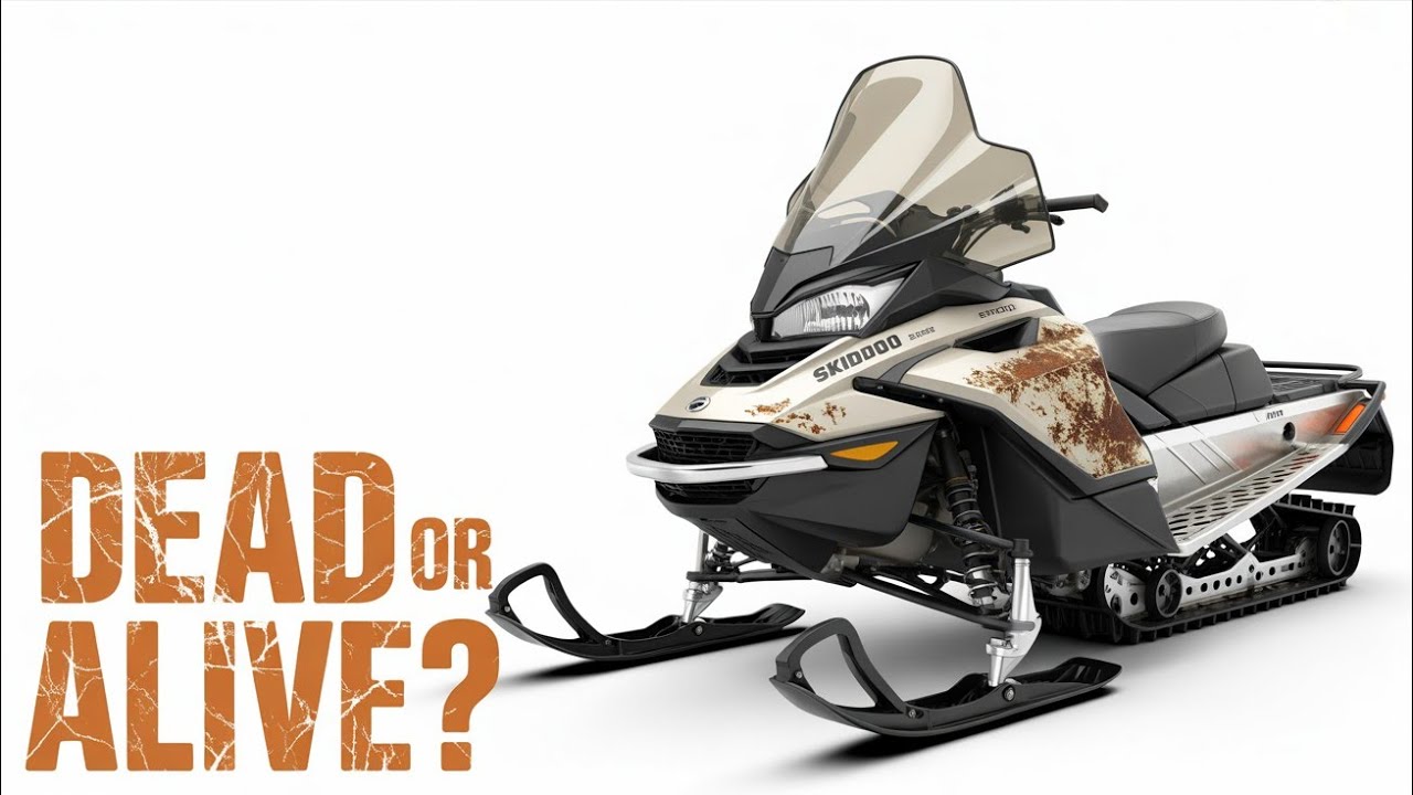 Skidoo Mach Z 800 не запускался много лет. Заведётся ли он?
