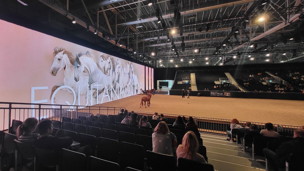Besuch auf der Pferdemesse EQUITANA 2023 in Essen
