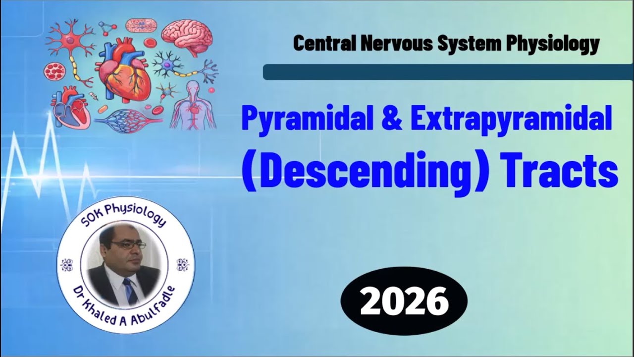 Pyramidal & Extrapyramidal (Descending) Tracts (1-2026) by Dr Khaled A Abulfadle