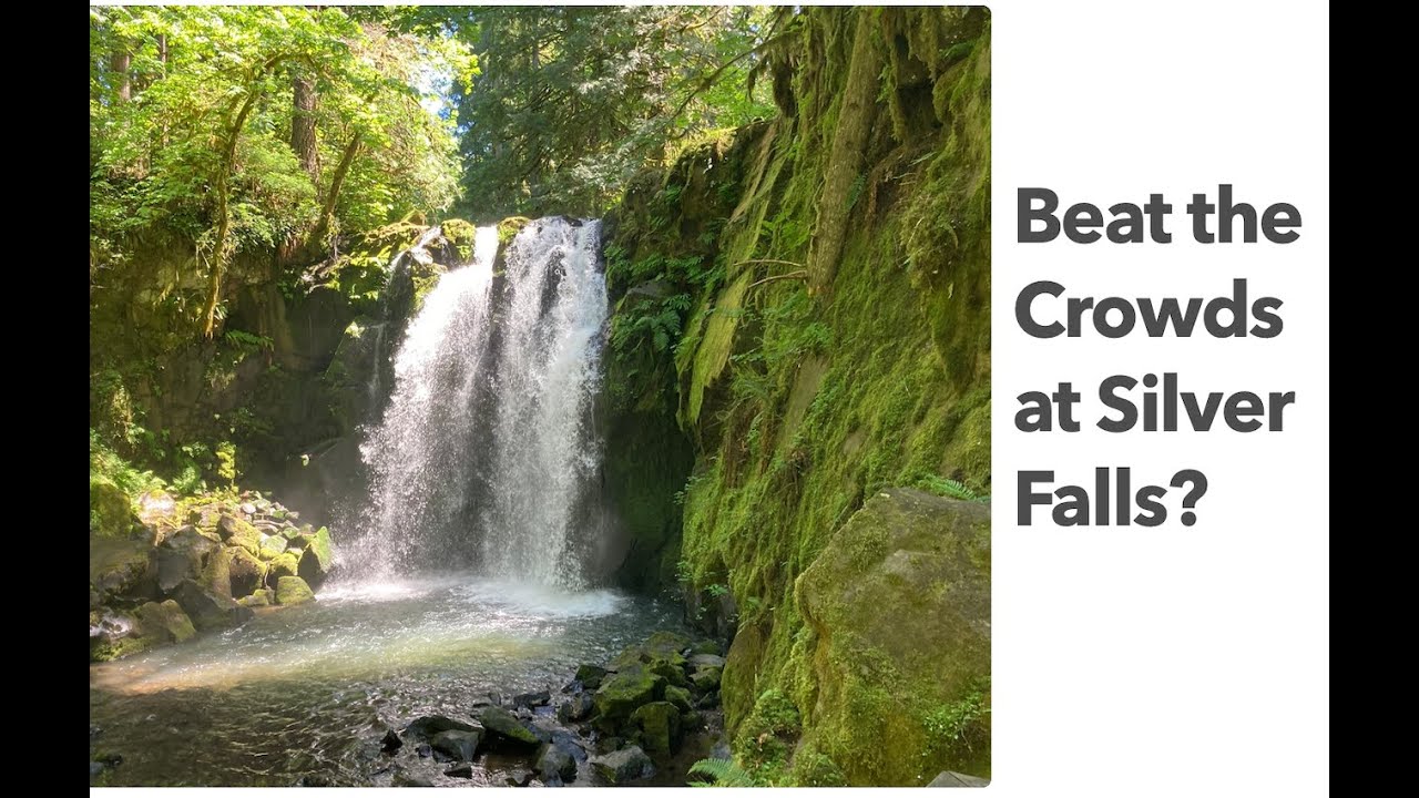 McDowell Creek Falls Loop Hike Oregon