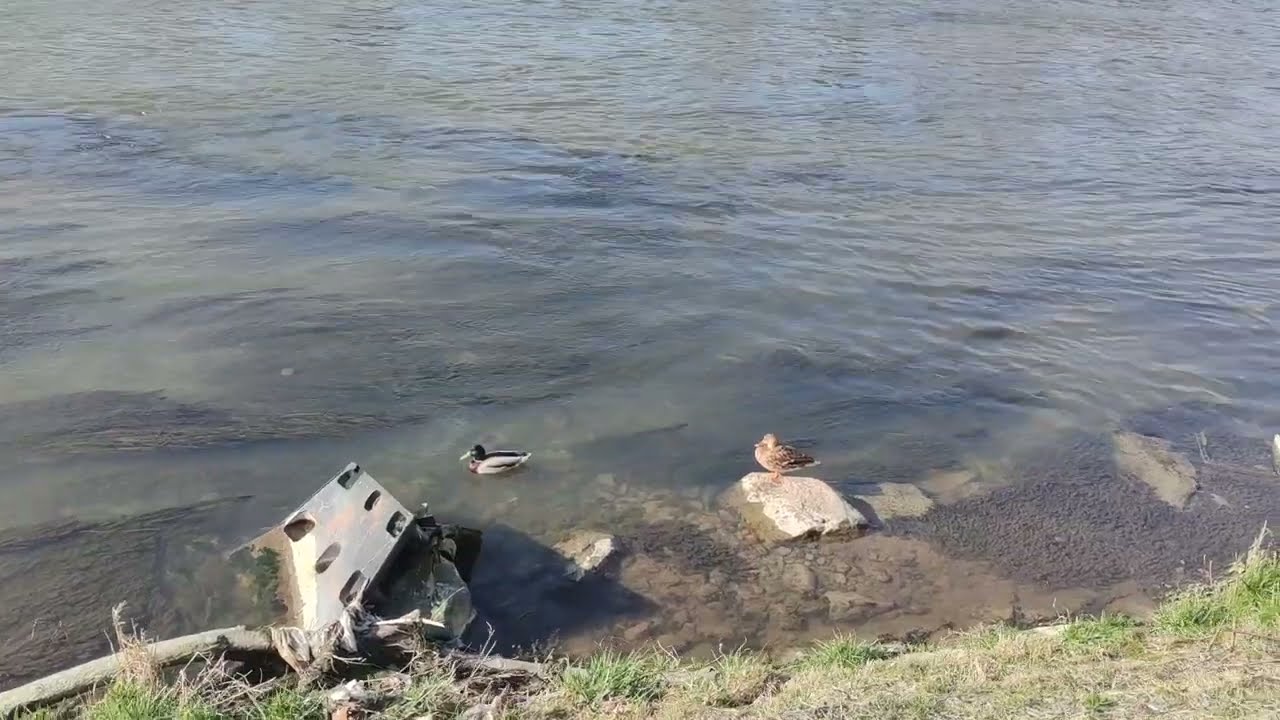 Makedonya &Uuml;sk&uuml;p Vardar nehri