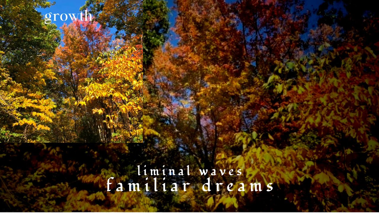 liminal waves - growth (full album)