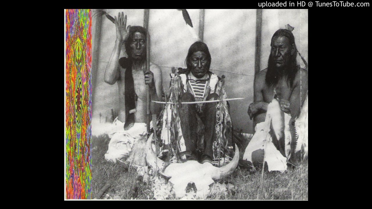 06. Shamanic Tribes on Acid - Buddha Bless Dub