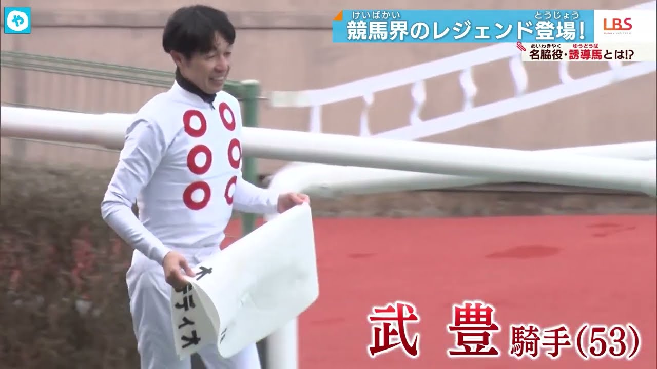 【競馬界の名脇役】誘導馬に注目！