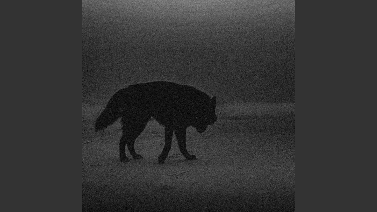 Lonewolf