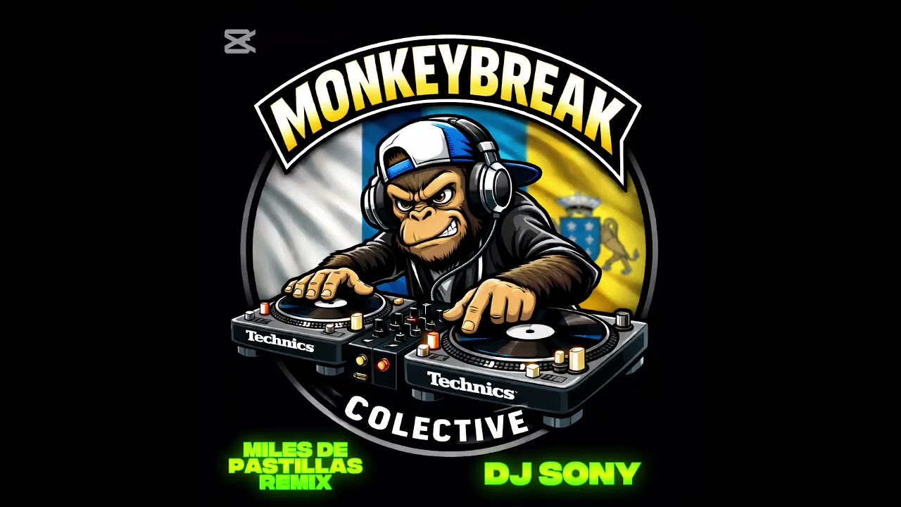MILES DJ SONY REMIX