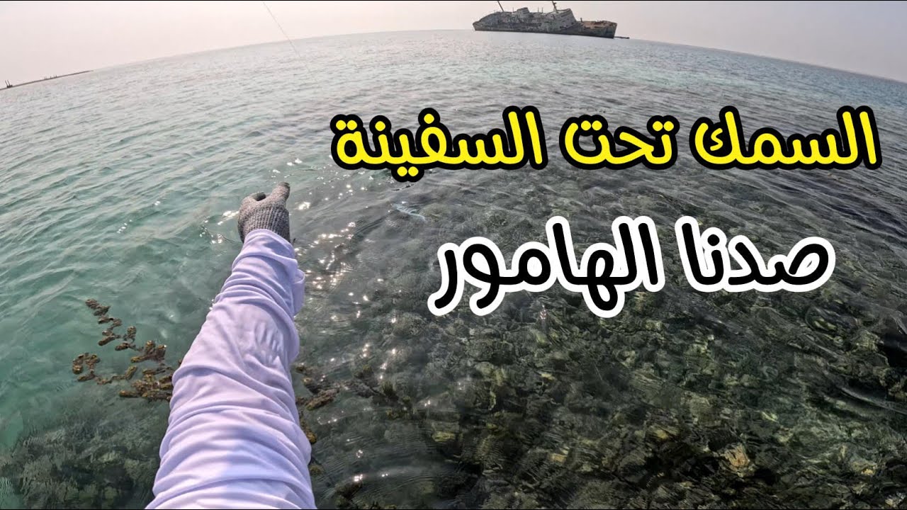 صيد كسارة ونوم عند السفينة الغارقة #fishing #صيد  #بحر  #سمك 4K