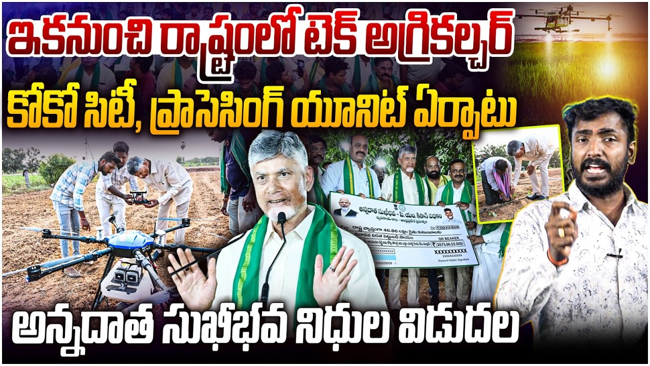 అన్నదాత సుఖీభవ నిధుల విడుదల👌Analyst Sudhakar on Chandrababu Release Annadata Sukhibhava Amount