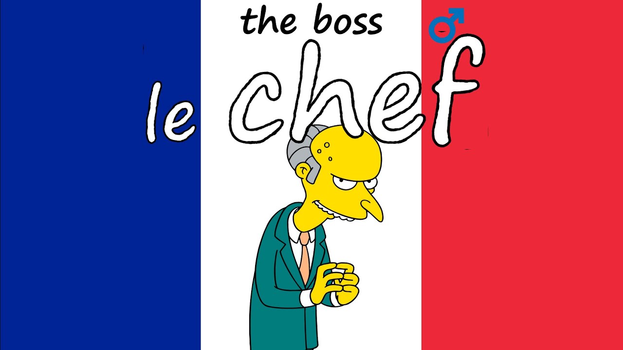 🇫🇷 JOBS/PROFESSIONS in FRENCH - Les M&Eacute;TIERS 🇫🇷