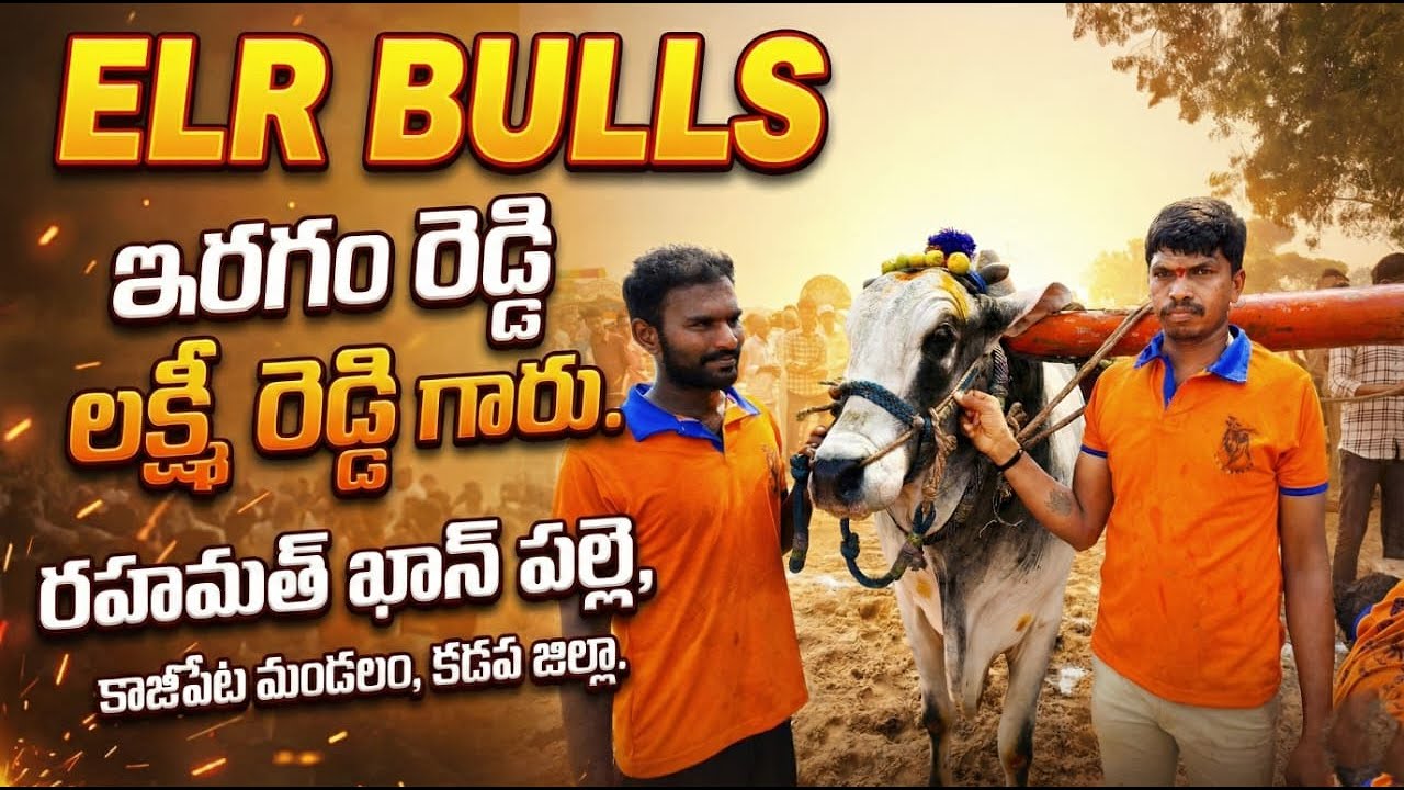 🚩2/3/2026 మాచిరెడ్డిపల్లె సేద్యపు విభాగం 23జత ELR BULLS ఇరగమ్ రెడ్డి లక్ష్మి రెడ్డి గారు కాజీపేట
