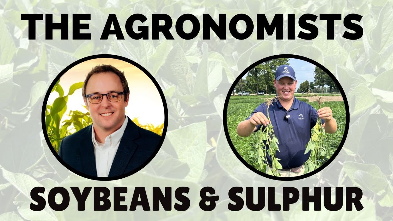 The Agronomists, Ep 233:  Sulphur and soybeans