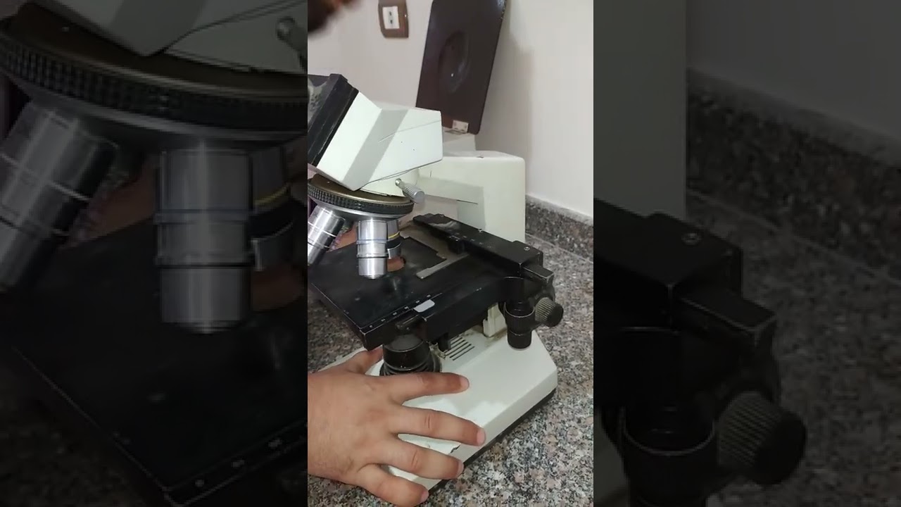 طريقه تغير لمبه الميكروسكوب وتغير لون الإضاءة بطريقه بسيطه جدا