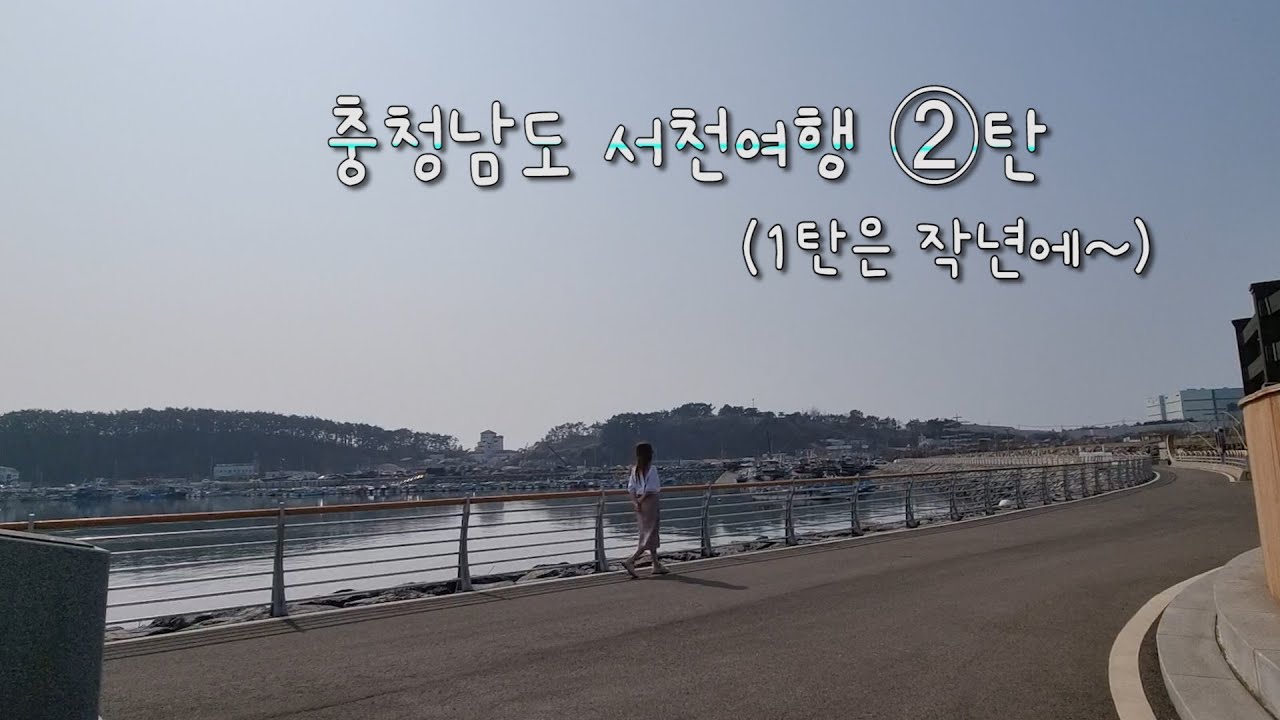 마량리동백나무숲&마량포구등대