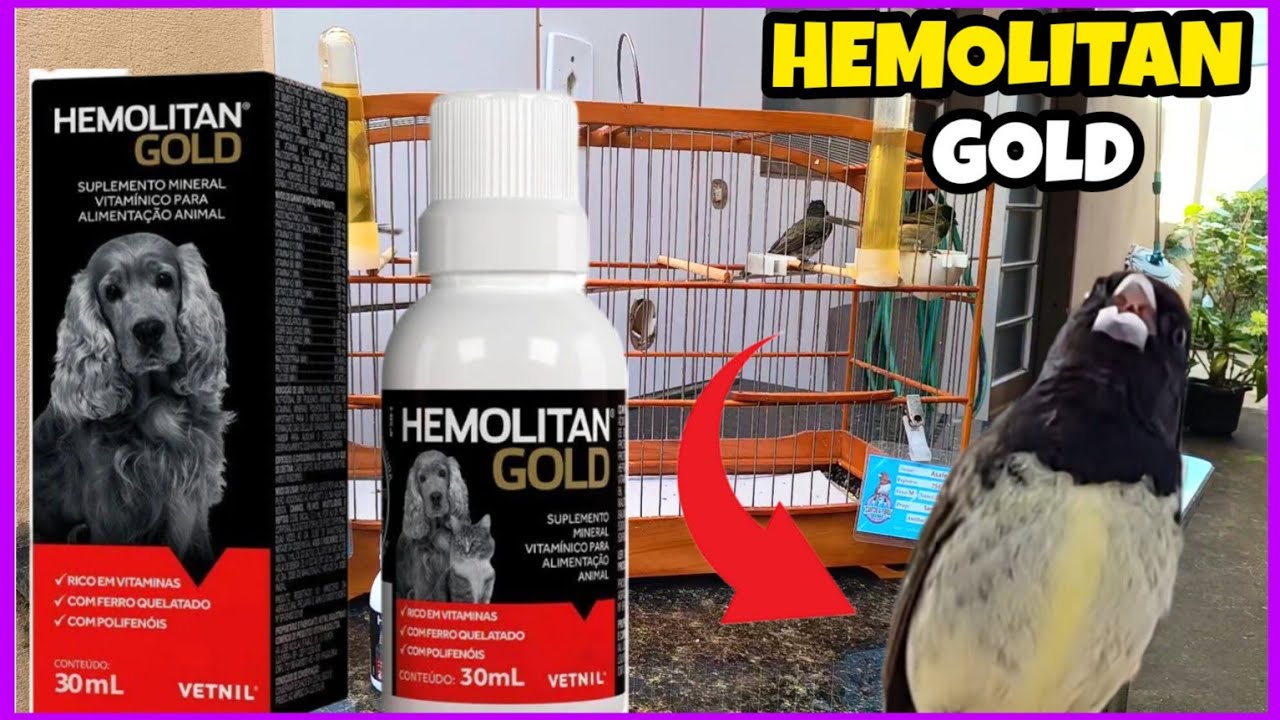 HOW TO USE HEMOLITAN GOLD AND WHAT COLEIRO AND PAPA-CAPIM ARE FOR