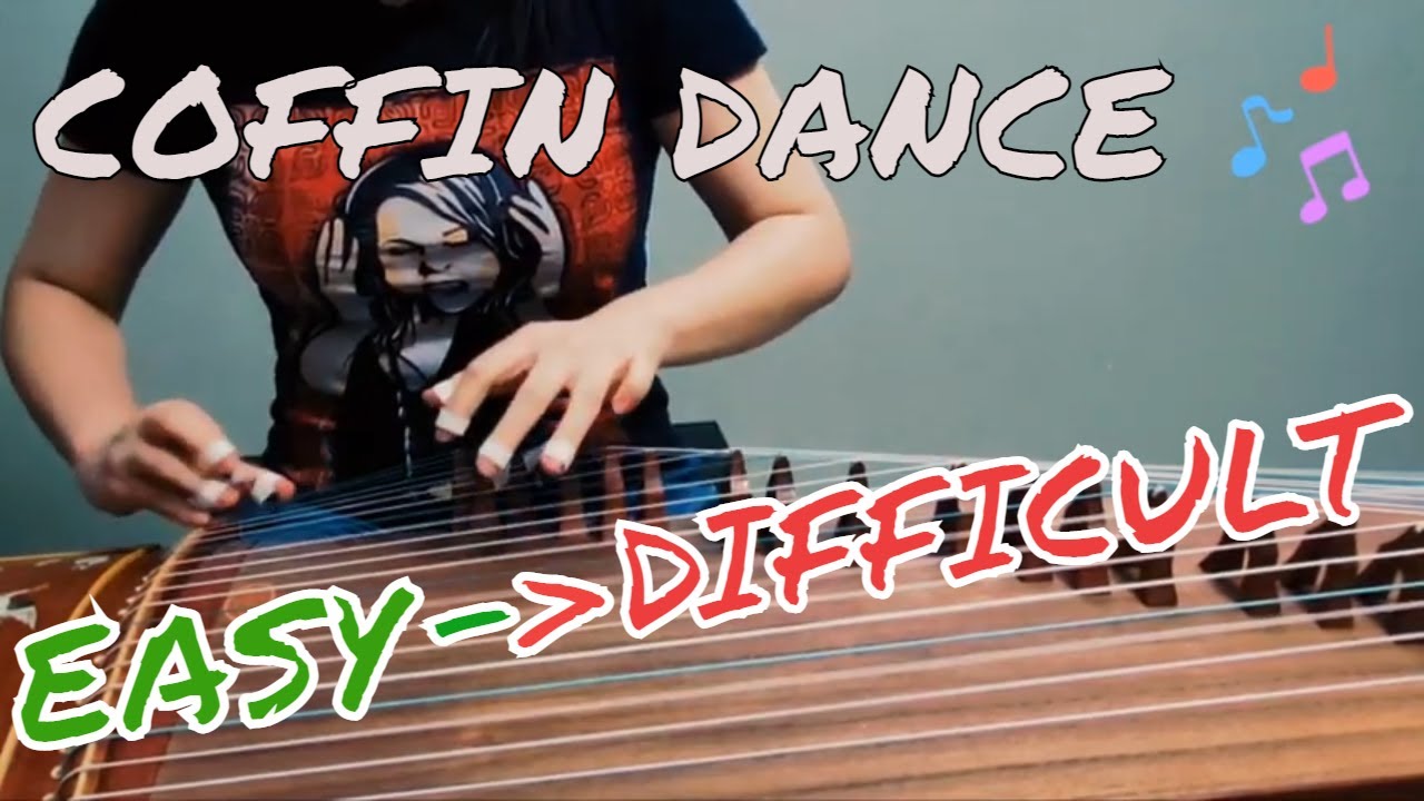 Coffin Dance - Instrumental Guzheng Cover
