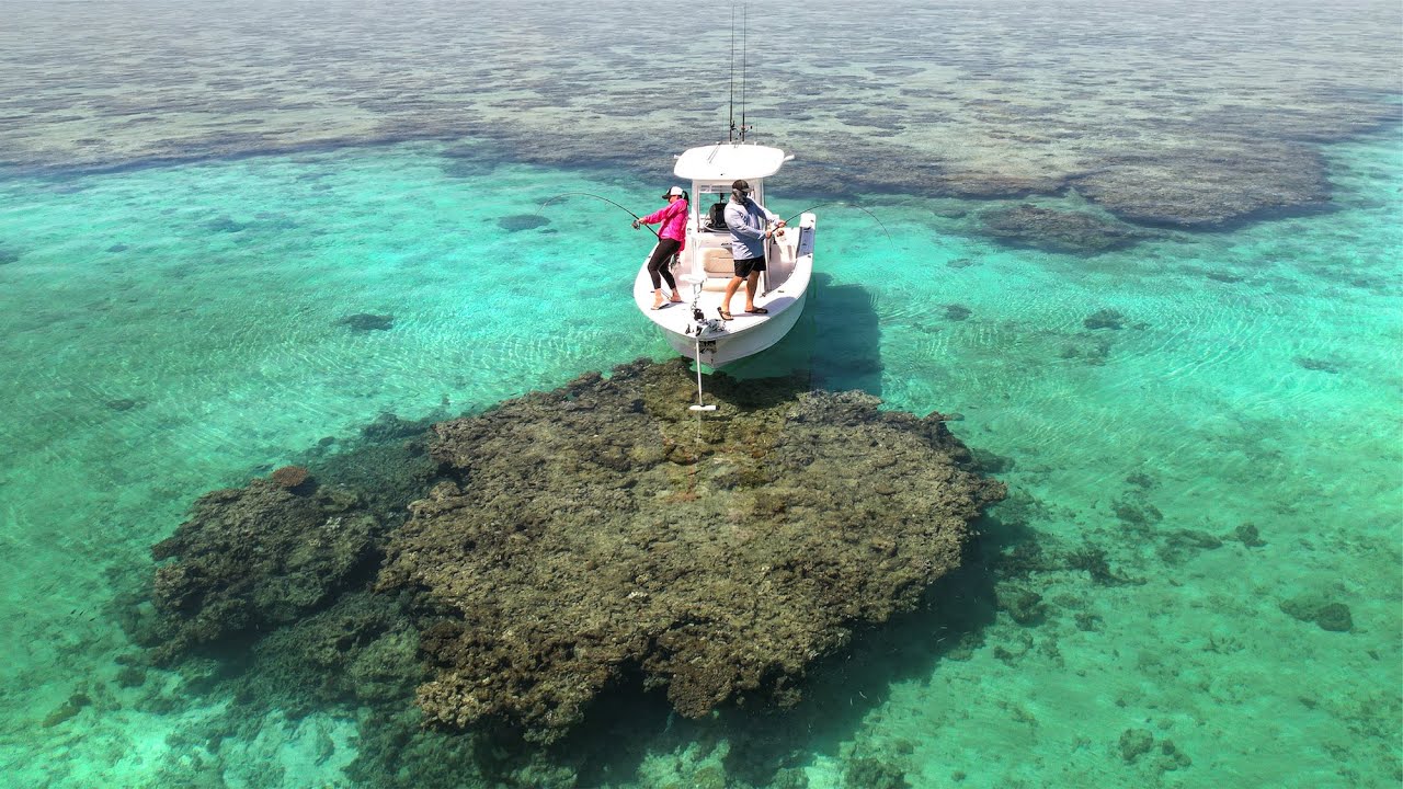 Micro Fishing REEF HOLES is Insane !!