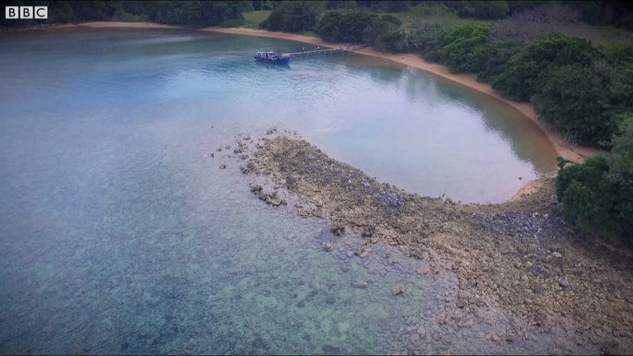 Trở lại Kuku, hòn đảo tị nạn của người Việt vượt biên - [BBC News Tiếng Việt]