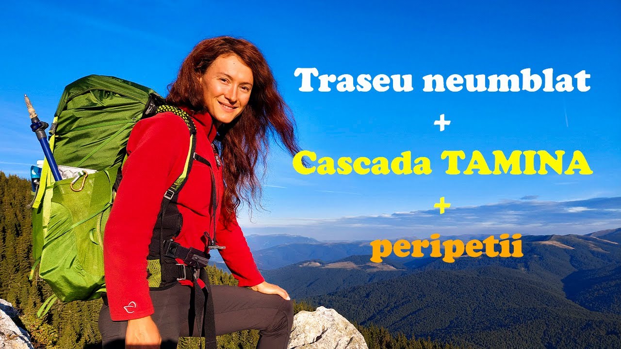 Partea salbatica a Muntilor Piatra Mare. Un urs ne-a facut sa ne mutam de la cort, in stana!!!