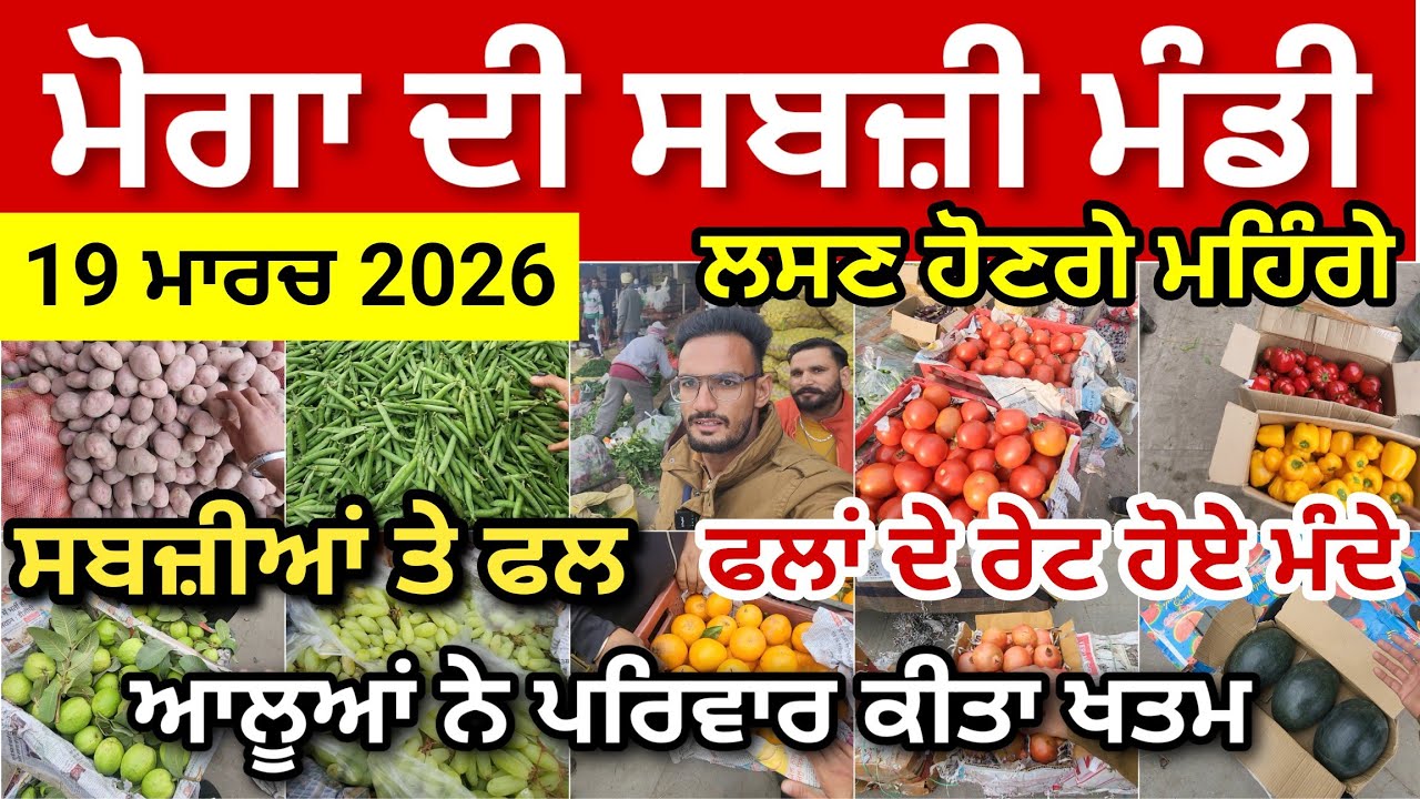 Moga Sabji Mandi Price Today Punjab | ਆਲੂਆਂ ਨੇ ਕਰਤਾ ਪਰਿਵਾਰ ਖਤਮ। ਲਸਣ ਹੋਣਗੇ ਮਹਿੰਗੇ। ਫਲਾਂ ਵਿੱਚ ਆਈ ਮੰਦੀ 