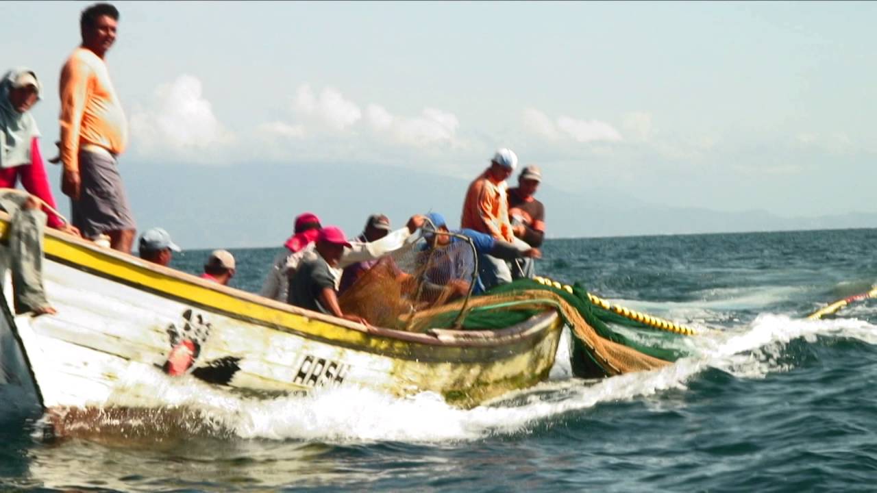Pura Pesca, Estilo Venezolano (Cap. Hala pa Tierra)
