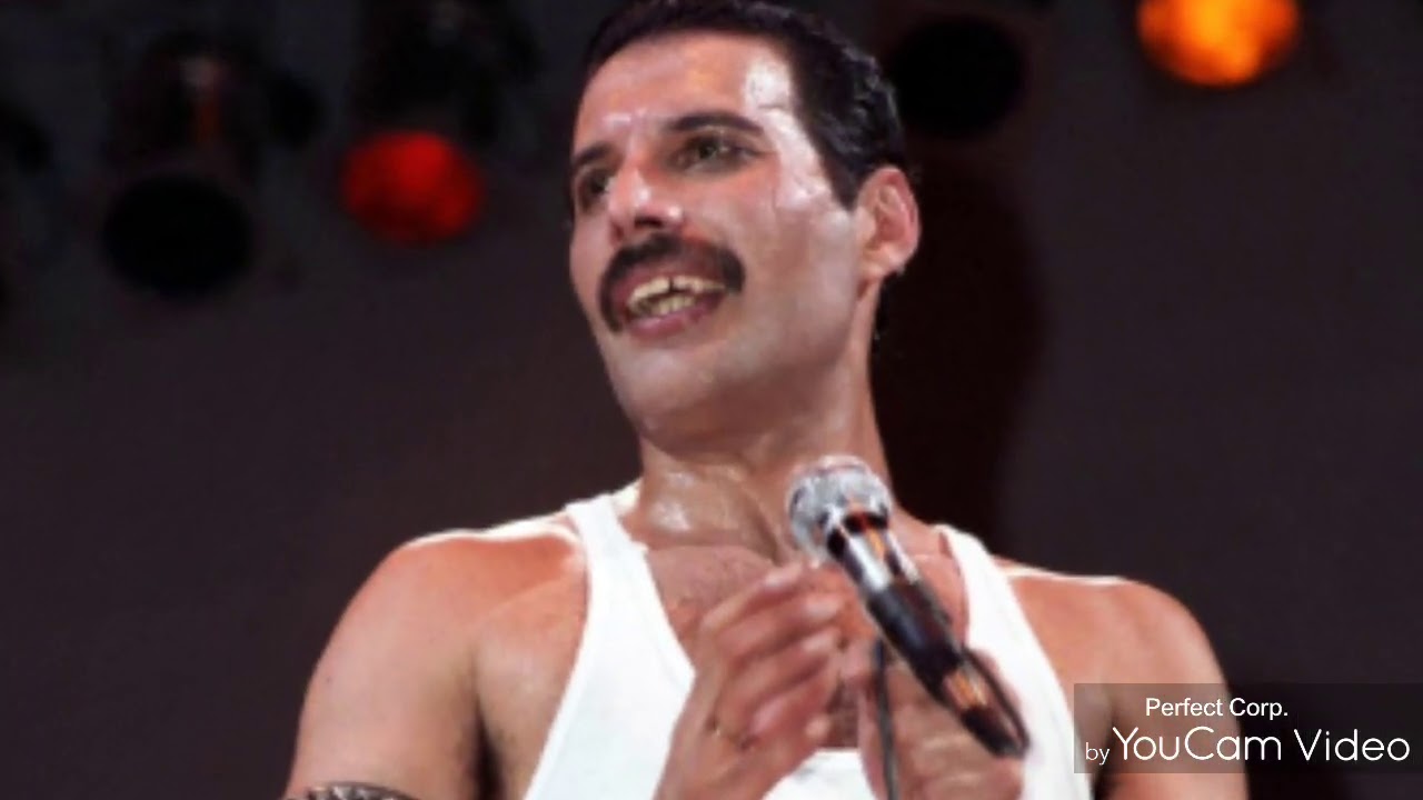 29 years ago today we lost the Legendary Freddie Mercury🤴.