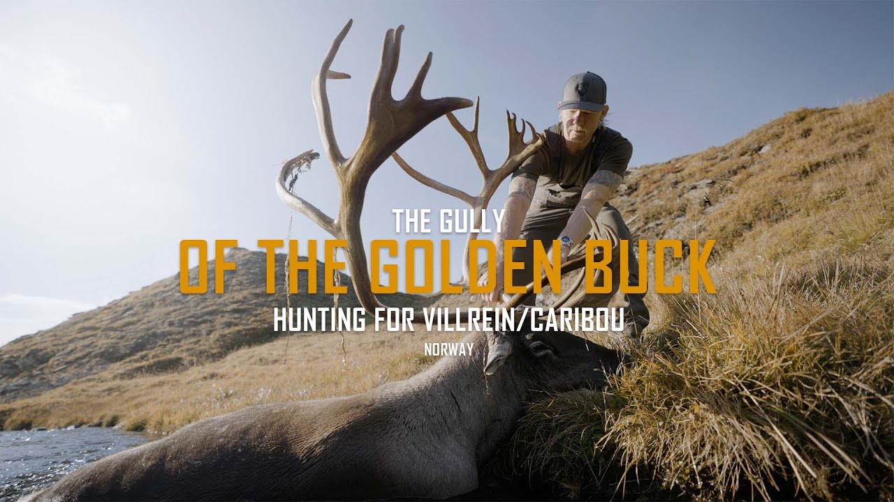 En Vildren av guld / The Norwegian golden caribou [eng subtitle]