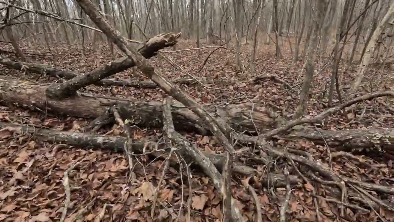 Hike to the Top of PawPaw Mountain Pt 2