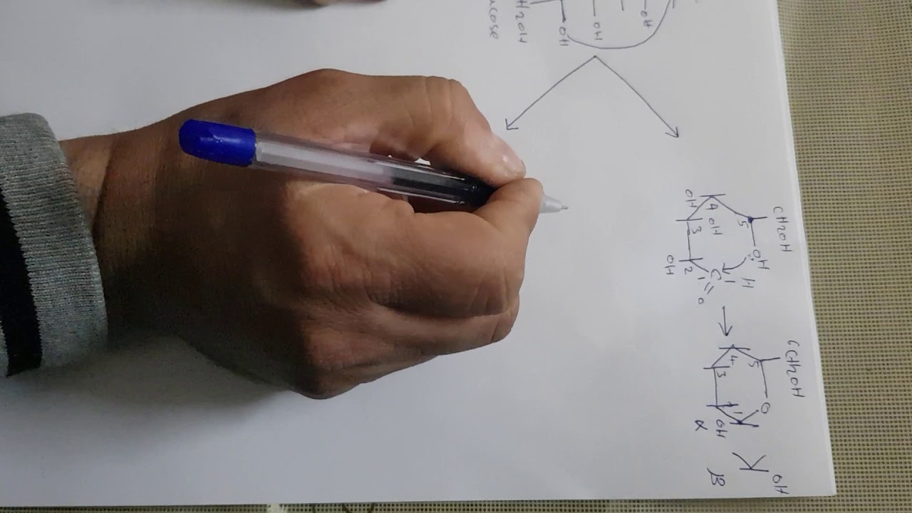 كيمياء حياتية نظري - محاضرة عملية غلق السكريات