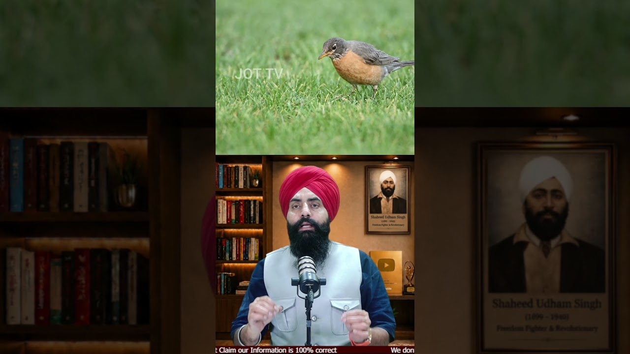 Duniya De Sab Ton Rang-Birange Bird Eggs! Kudrat De Hairan Karan Wale Karishme #BirdEggs #Nature