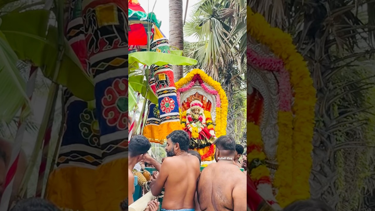தேர்த்திருவிழா 