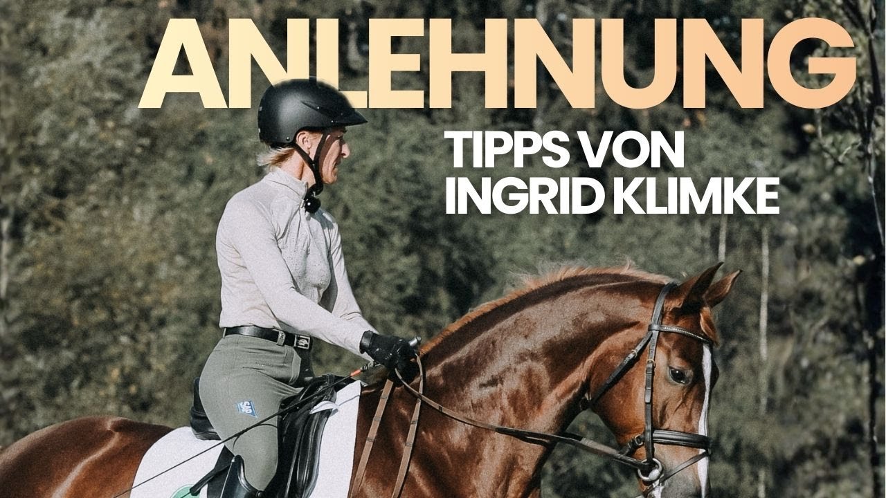 Korrekte Anlehnung erarbeiten – so geht rund reiten wirklich | Frag Ingrid Klimke