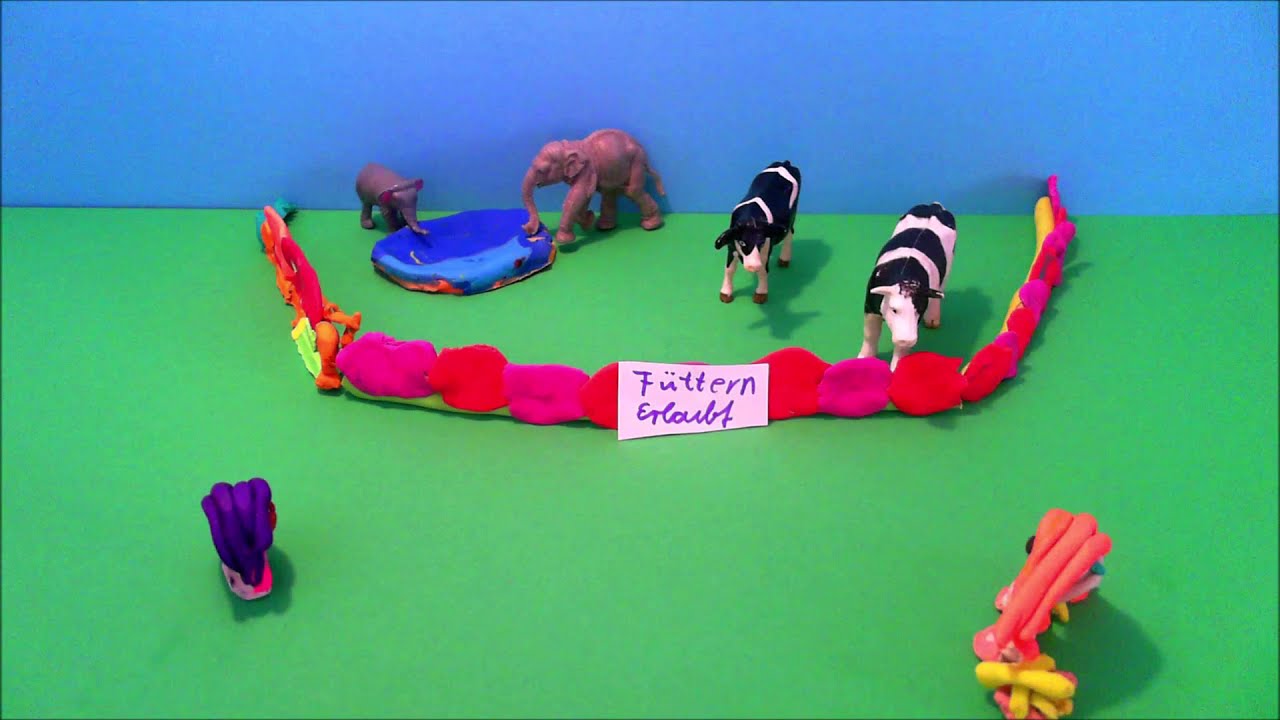 Der Zoofilm