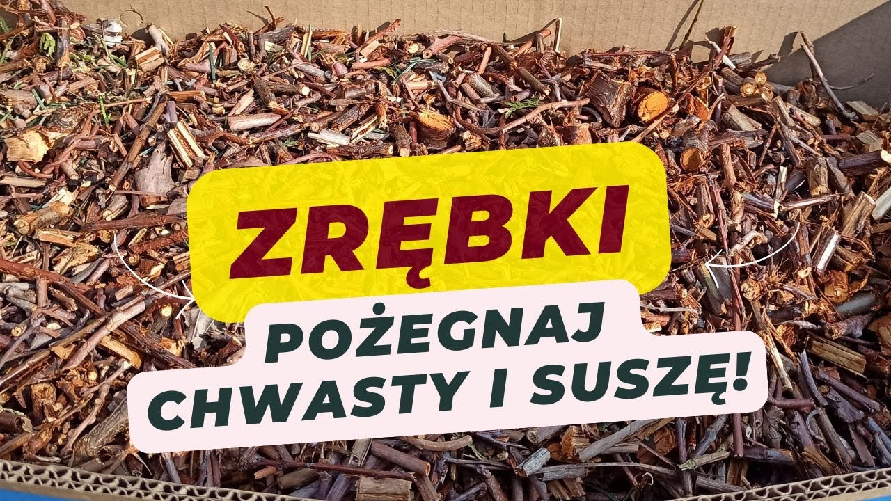 Zrębki w ogrodzie: kompletny przewodnik dla początkujących! Czy Warto? Jak Używać?