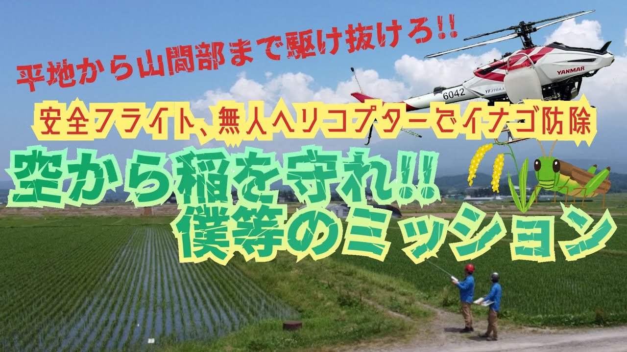 『空から稲を守れ!!僕等のミッション』~無人ヘリコプターでイナゴ防除~