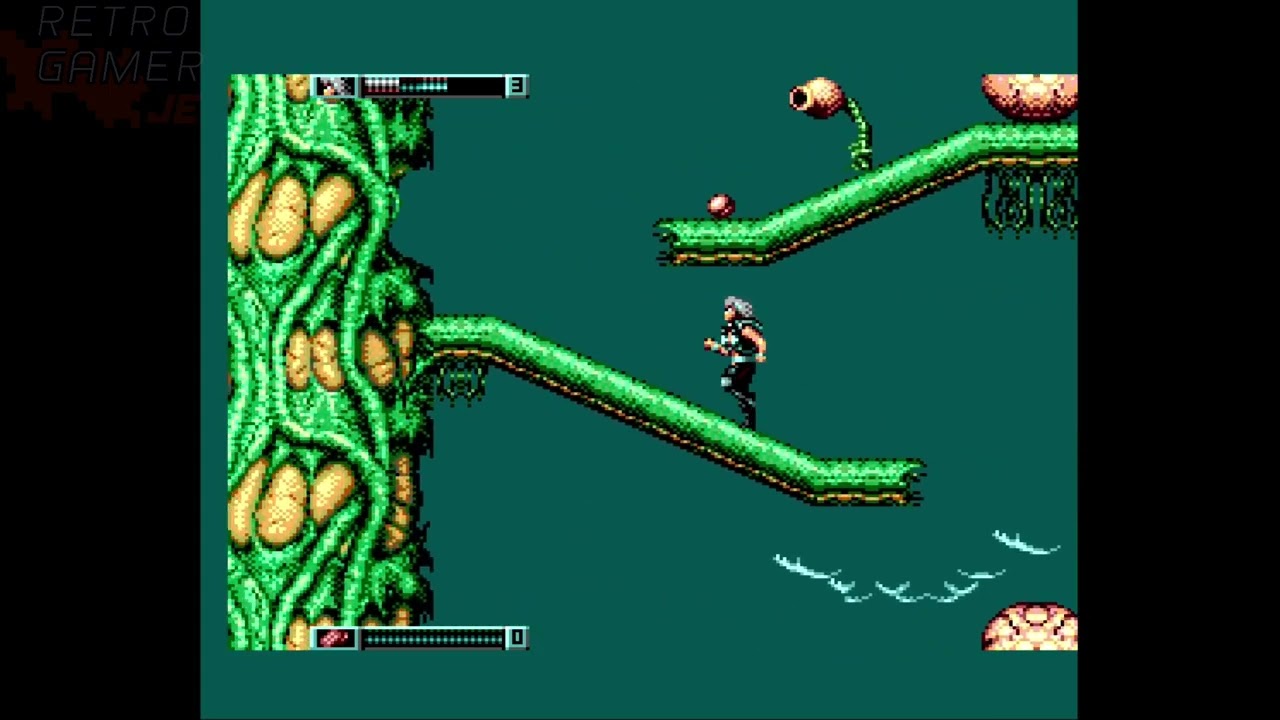 Wolfchild - Master System