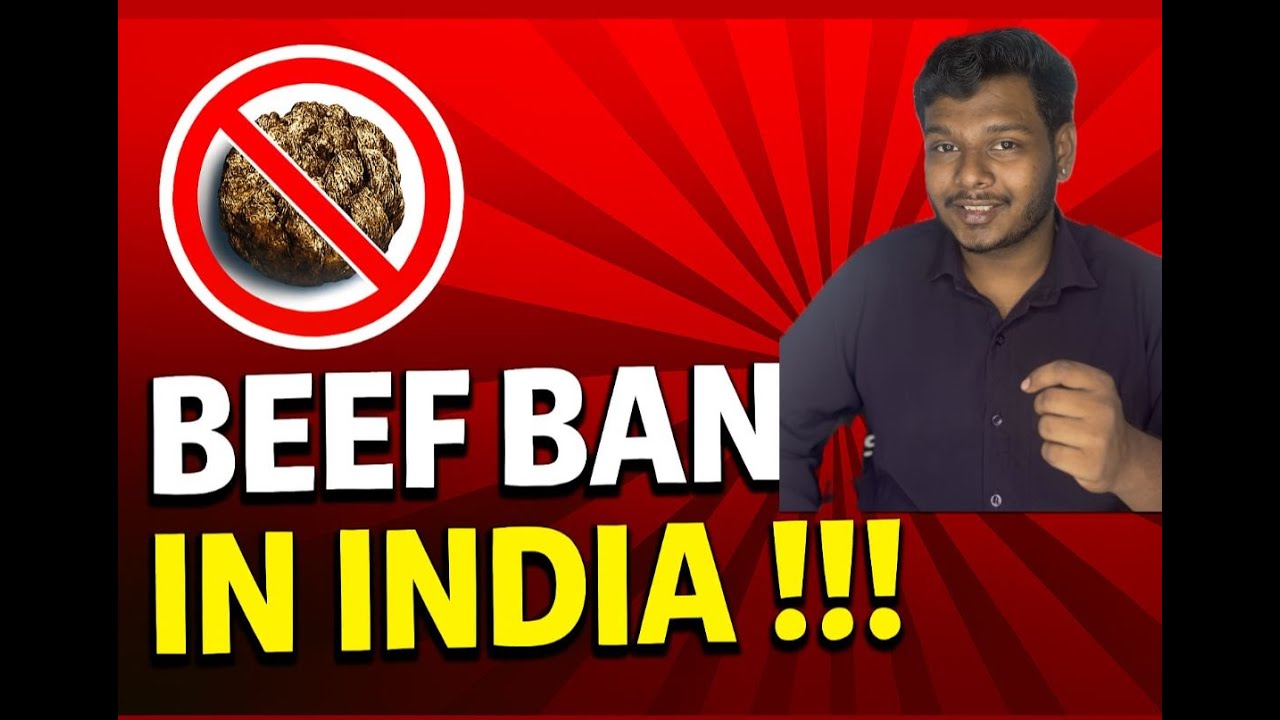 Beef Ban in India: Culture, Law & Controversy Explained!