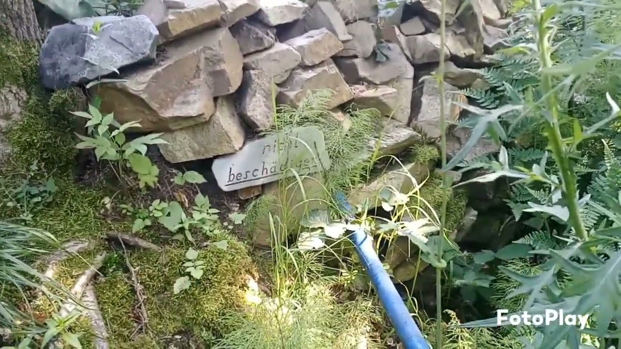 Im Wald an der Zwickauer Mulde,zwischen Rochsburg und Penig.