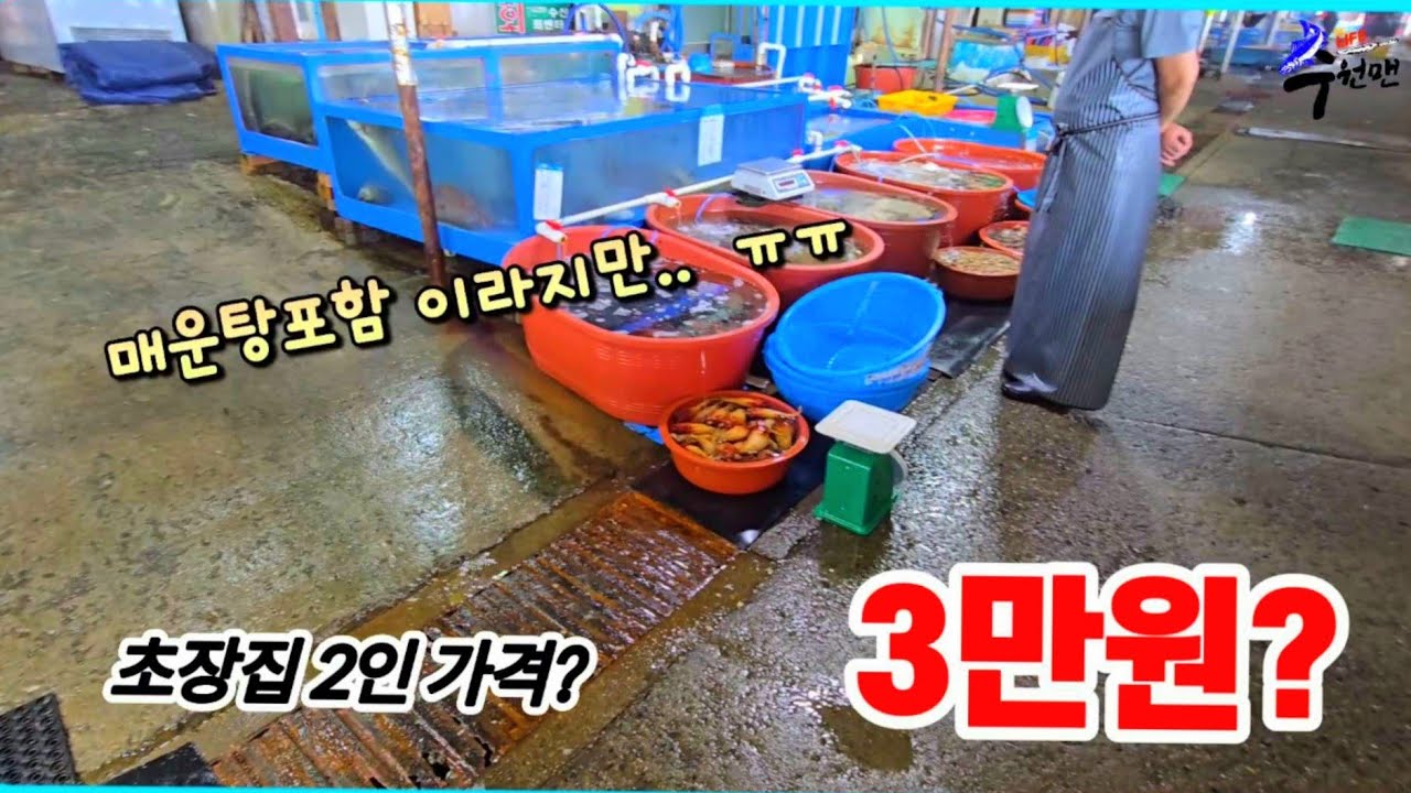 노포감성 기대했는데.. '상인따라 바뀌는 상차림비' 그냥 돌아섰습니다.  서해 대표 휴가지 현재모습!!