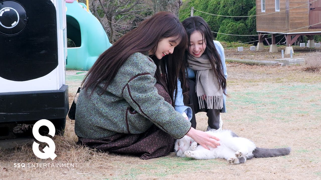 woo!ah! (우아!) –나라즈는 계속 됩니다(☆•ヮ•)八(•ヮ•)🐰🐹❗️