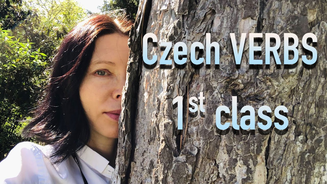 Czech verbs #1 - 1st class (n&eacute;st - br&aacute;t - mazat - p&eacute;ct - umř&iacute;t)