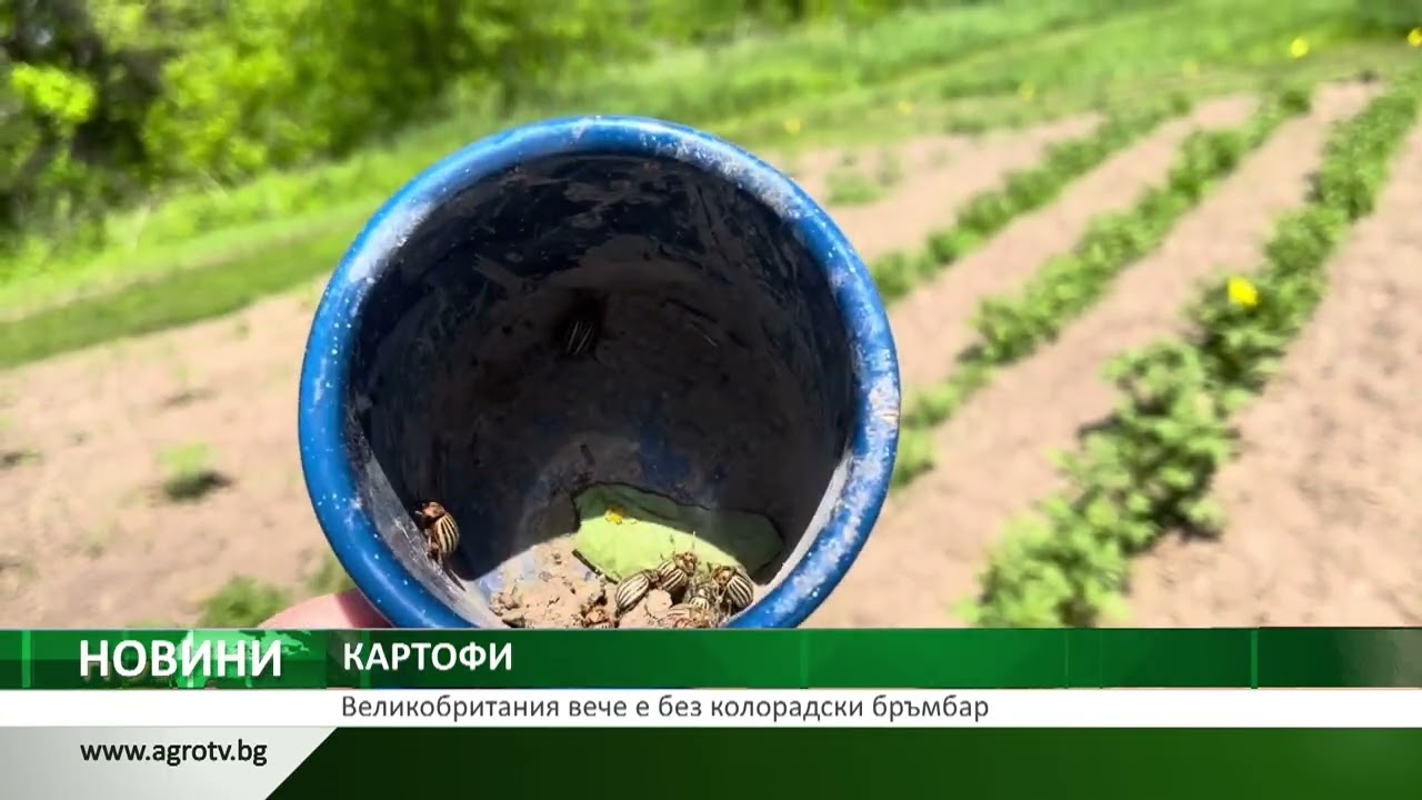 Централна емисия новини на АГРО ТВ – 06.01.2026 г.