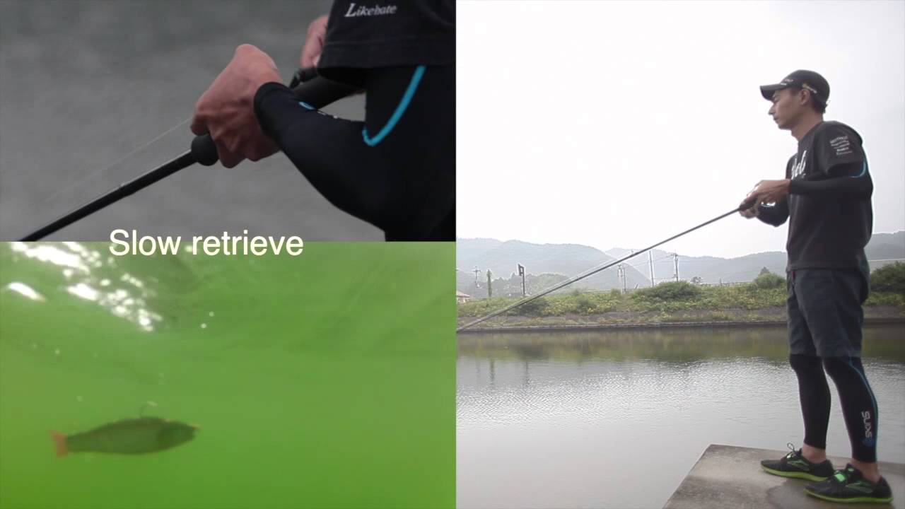 Romanmade Retrieves vid.m4v  Swimbaits Trophy Bass Fishing Lures