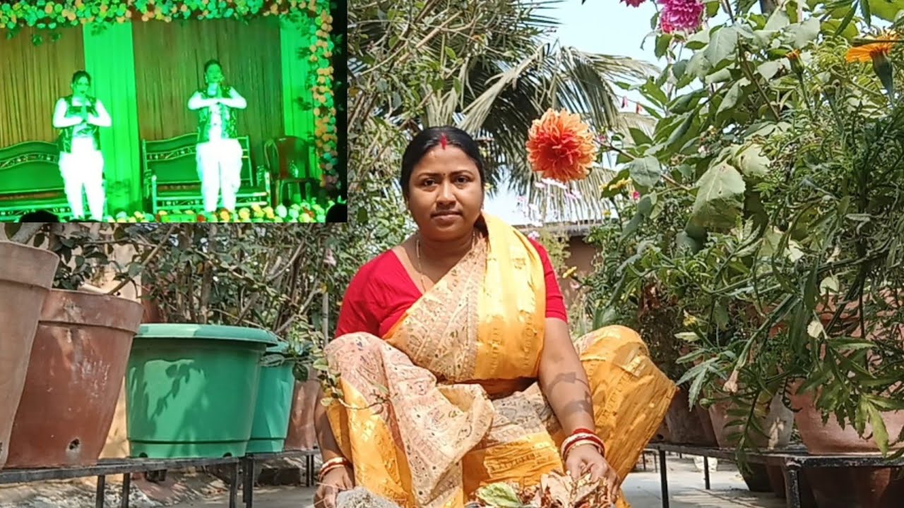 আমাদের পাড়ার সাংস্কৃতিক অনুষ্ঠান ॥ছাদের পরিচর্যা ॥#banglavlog 