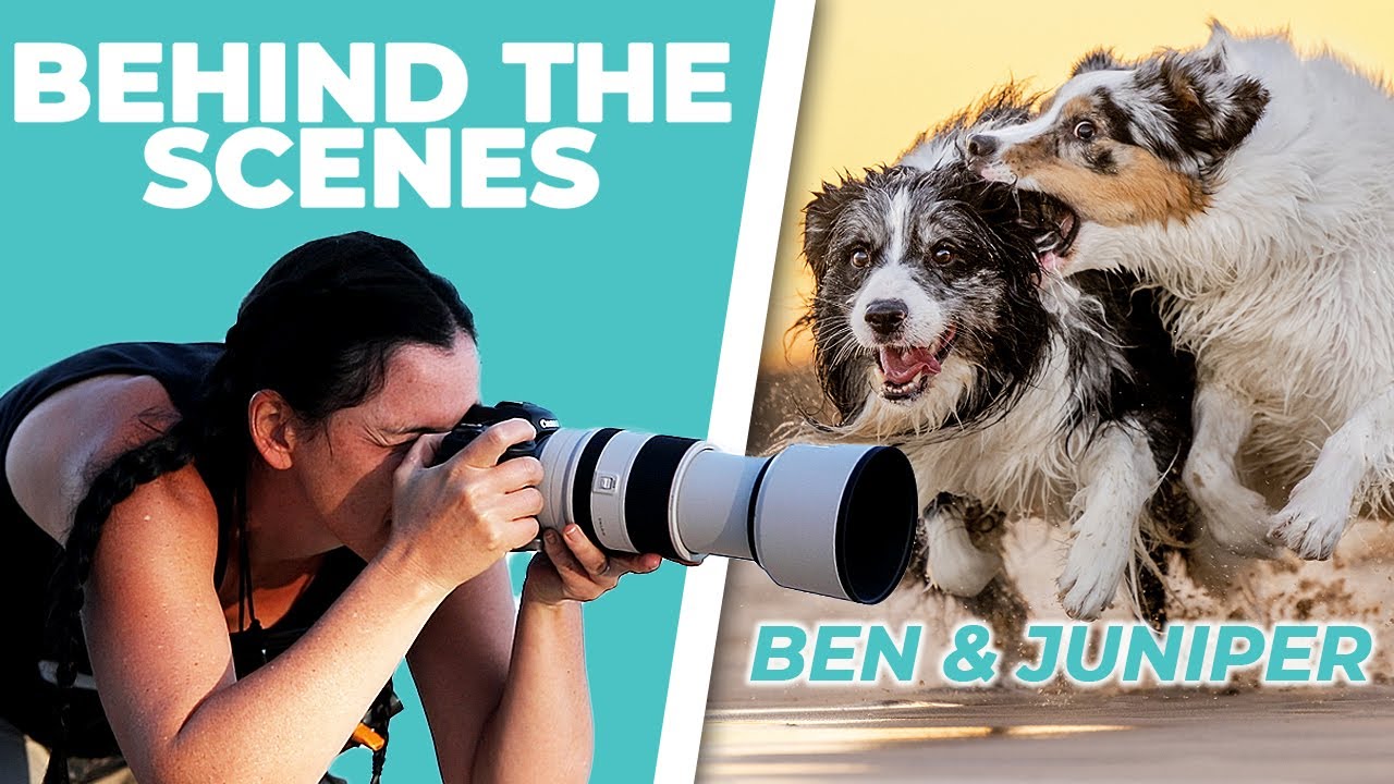 Behind the Scenes - Ben and Juniper | Dog Photography Session